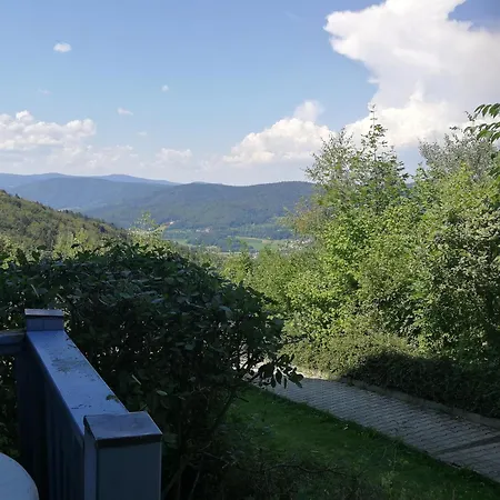 Blick Zum Lallinger Winkel